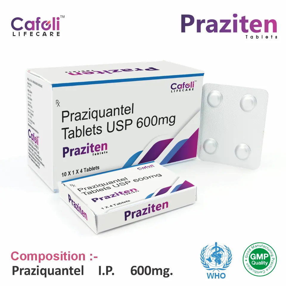 Praziten Tablet for PCD Pharma Franchise